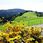 Perhofer Birkfeld