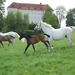 Apartament Perhofer