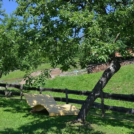 Apartamento Perhofer *