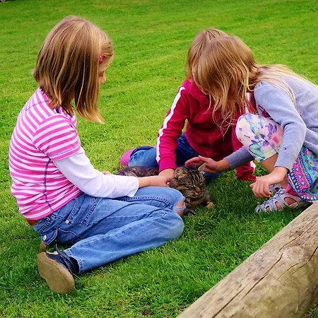 Appartement Perhofer *