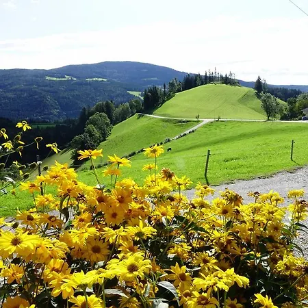 Perhofer Birkfeld