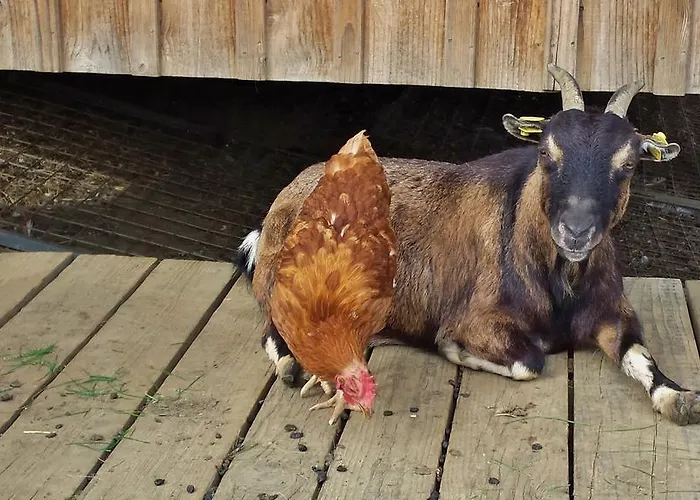 Lägenhet Perhofer *