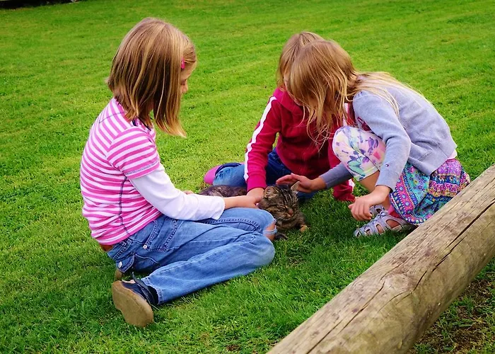 Apartamento Perhofer *